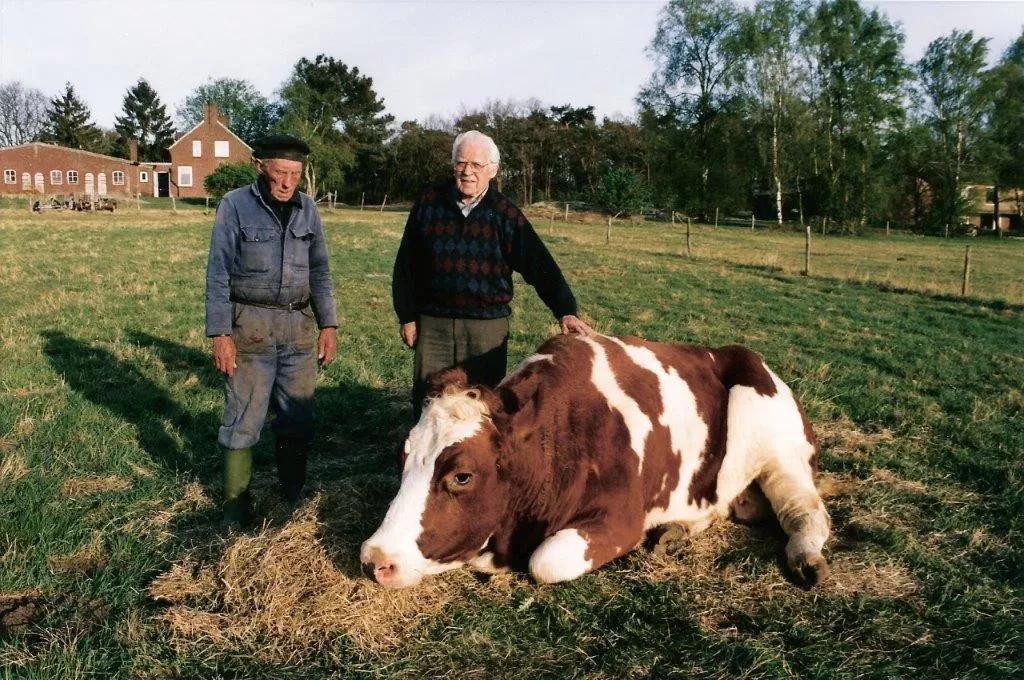 Wim en Greet Sijberts - de Vries