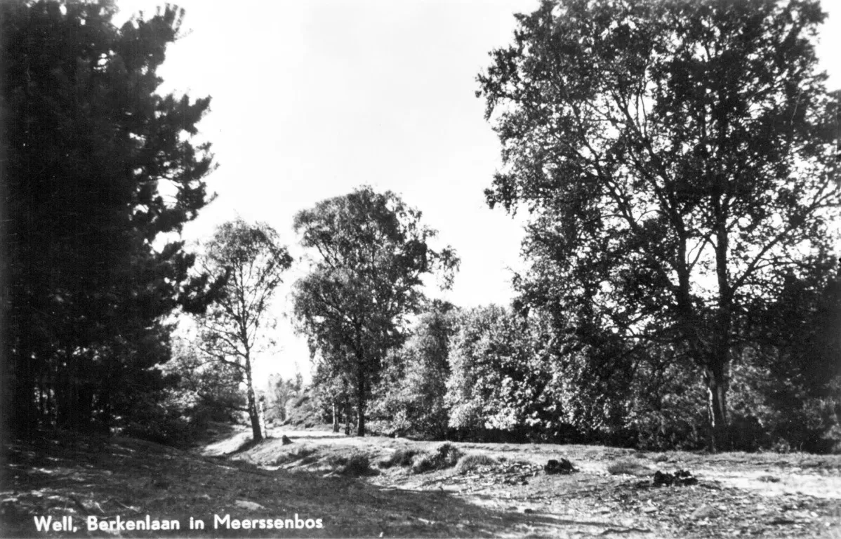 Natuurschoon in Well op oude postkaart